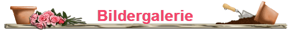Bildergalerie