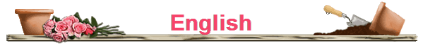 English